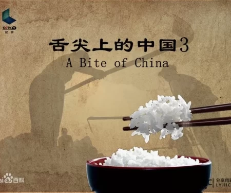 非《舌尖上的中国3》在新化向东街拍摄,而是《味道》栏目组