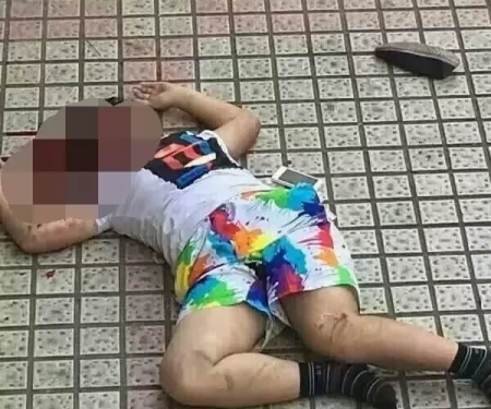 湖南新化一小学生被罚站后跳楼 抢救无效死亡